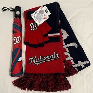 Washington Nationals scarf, gloves, & umbrella.